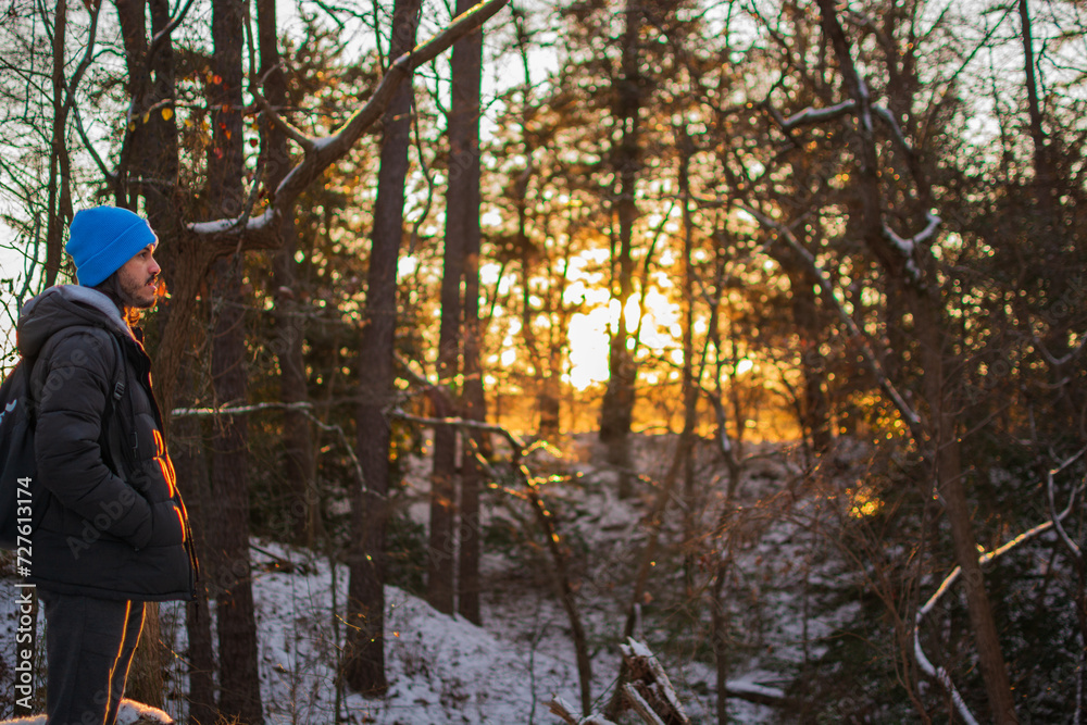 custom made wallpaper toronto digitalSnowy golden hour forest wallpaper