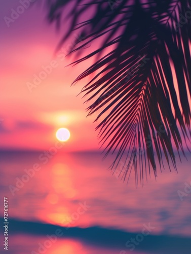 Palm leaf silhouette with a stunning sunset and ocean reflection