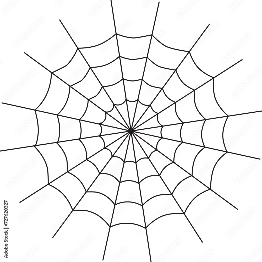 Fototapeta premium Spider web vector design.