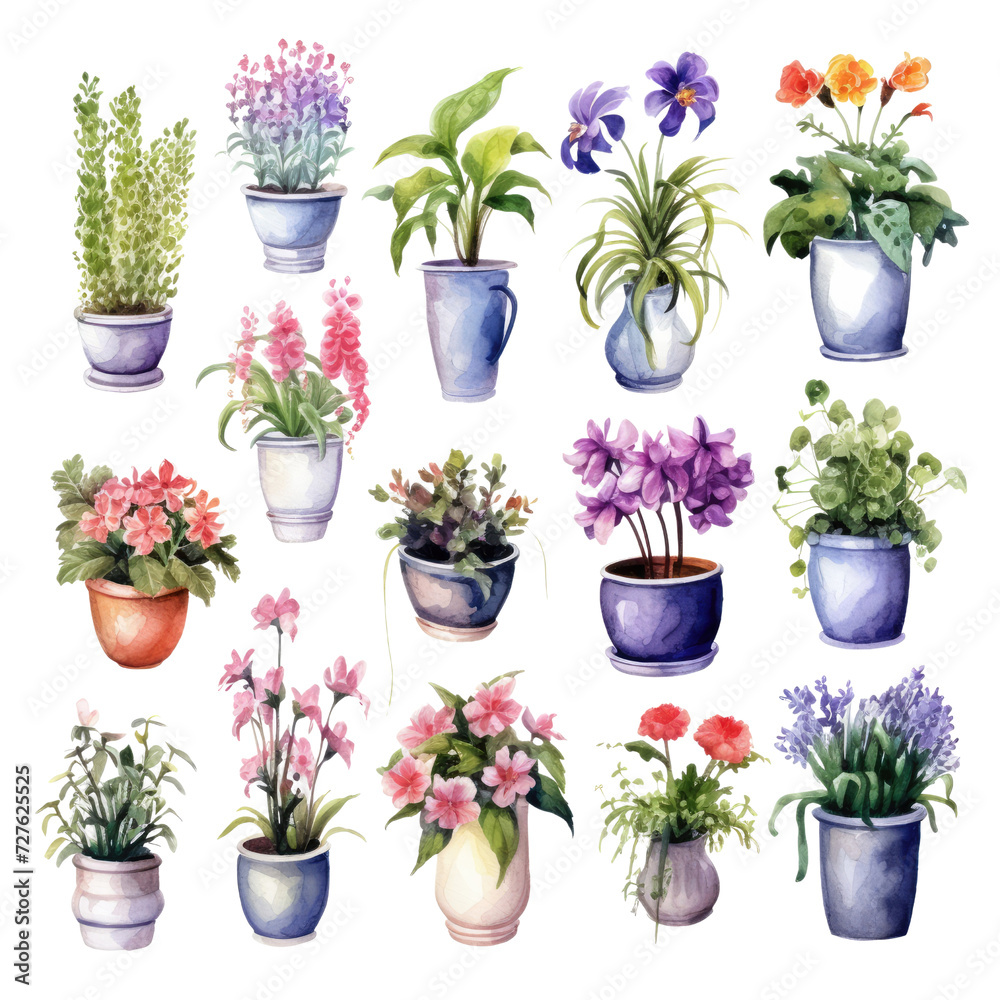 Set of flowers and plants in pots watercolor Set of flowers and plants in pots watercolor