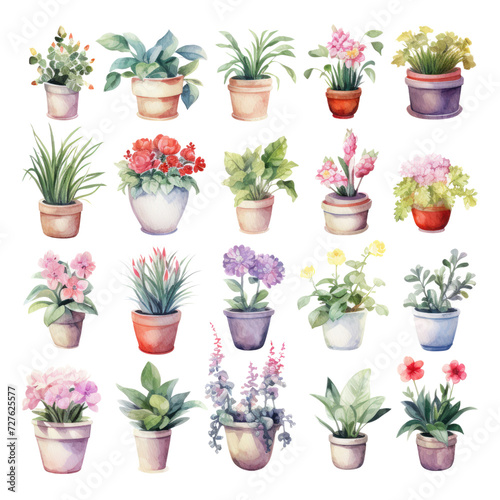 Set of flowers and plants in pots watercolor