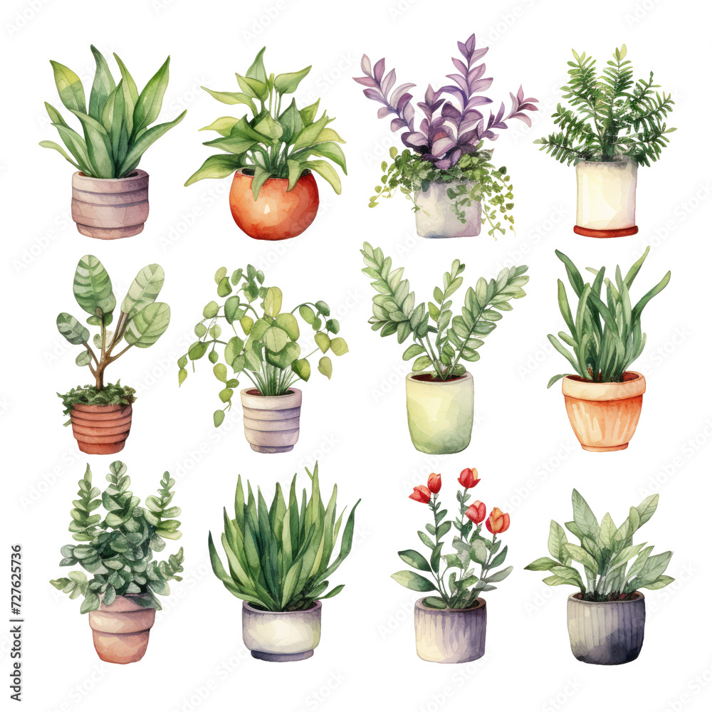 Set of flowers and plants in pots watercolor