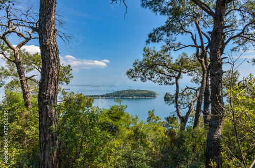 Photography Sedef Island and Marmara sea scenic view from pine forest on Buyukada island (Ad