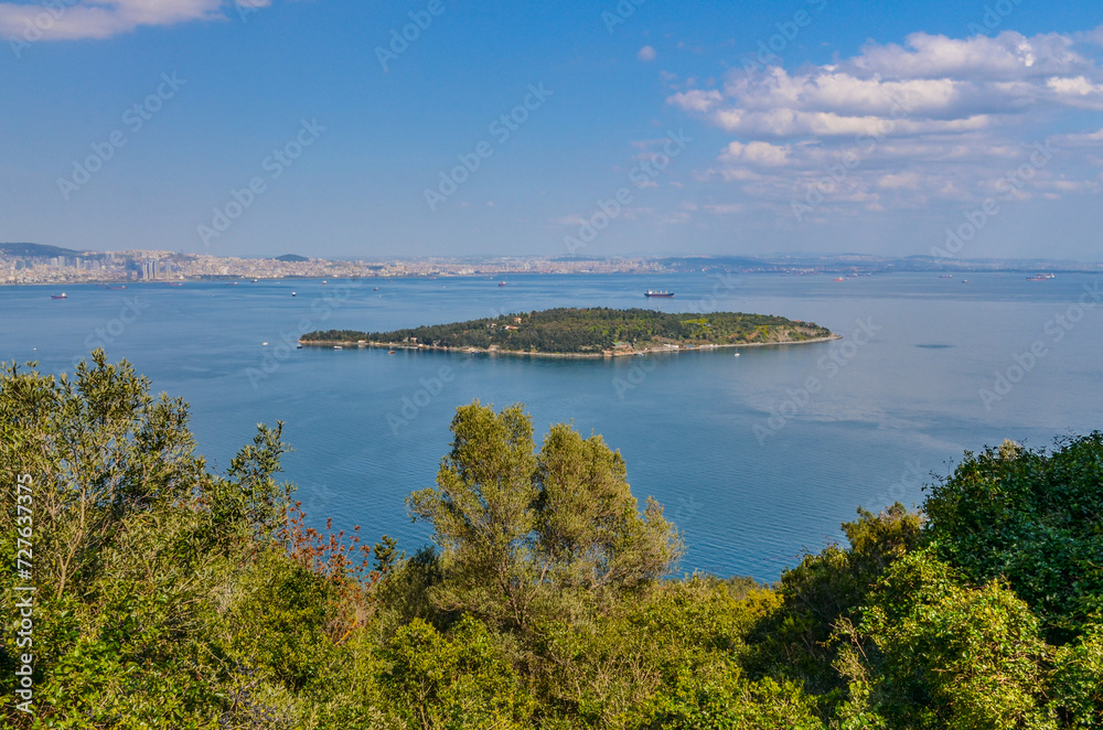 Sedef Island and Marmara sea scenic view from Buyukada National Park (Adalar, Turkey)