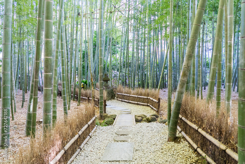 Fototapeta Naklejka Na Ścianę i Meble -  Beautiful Bamboo Garden at Hokokuji Temple