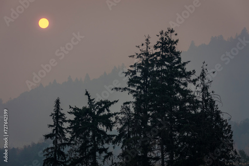 Sun in a smoky sky from wildfires in the mountains © peteleclerc