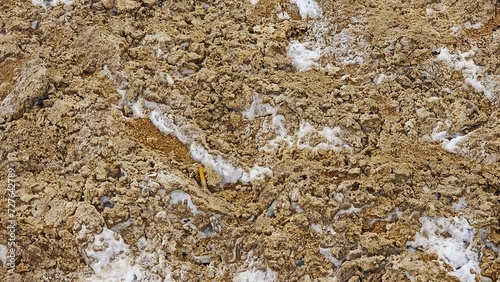 Tilt up-Rough texture mix of mud and salt across the flat at Badwater Basin in Death Valley National Park. Tilts to view lake and mountain on distant horizon at the lowest elevation point in the USA