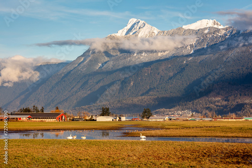Mount Cheam from the farmlands of Chilliwack, BC
