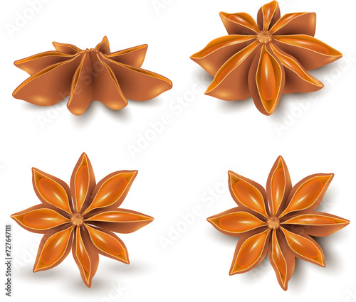 Star Anise,  spice composition for aromatherapy or cooking in realistic style. Eps 10. Herbs and spices