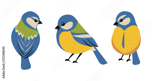 Set of cute spring birds, blue tit isolated on white background. Vector illustration in flat cartoon style. © Daria Serheieva