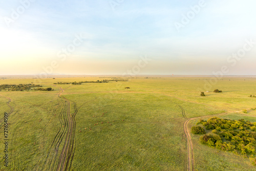 African landscape at sunrise  viewed from a hot air balloon  Masai Mara National Reserve  Kenya.