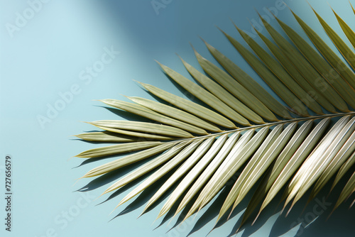 A sunlit palm leaf contrasts against a serene blue backdrop. Concept for wellness spa, natural beauty products, or tranquil spaces. Copy space available.