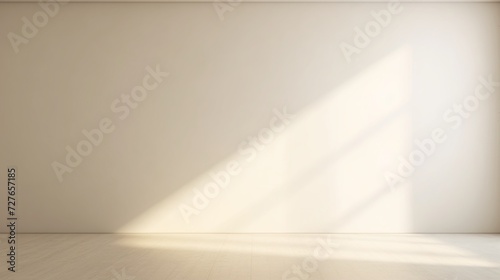 Minimalistic abstract gentle white background for product presentation with light andand intricate shadow from the window