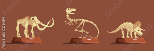 Paleontology museum with dinosaur fossils vector illustration. Cartoon paleontological exhibition with prehistoric dino skeletons. Historical artefacts and sculls on pedestals. Science concept