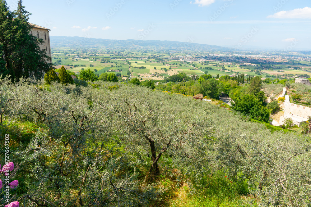 View across landscape from famous Italian town of Assissi