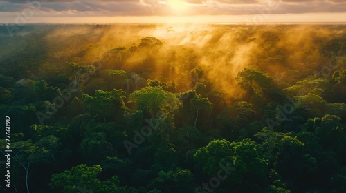 Vibrant Sunset Over Lush Rainforest Canopy