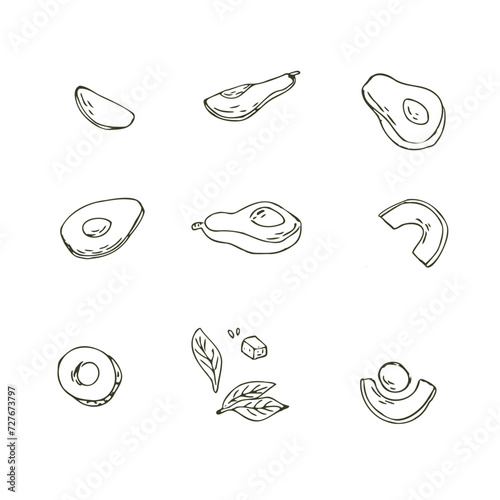 Set of avocado fruit, half, sliced, leaves and seed sketch. Vector illustration isolated. Can used for wrapping, packaging, poster, cover design, textile and backdrop for cosmetic and vegan products