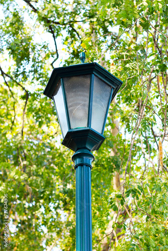 Vintage park street lamp post