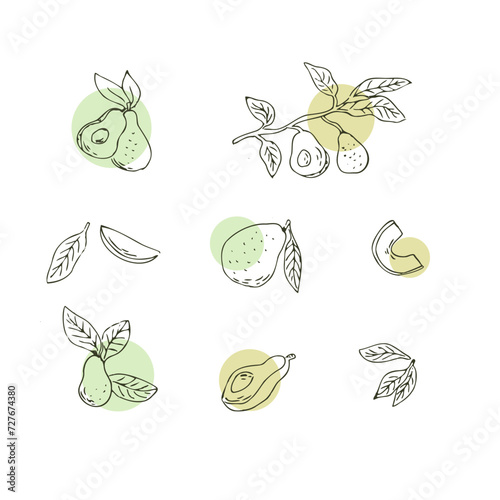 Hand drawn avocado set outline with simple shapes. Vector illustration isolated. Can used for wrapping, packaging, poster, cover design, textile and backdrop for cosmetic and food vegan products