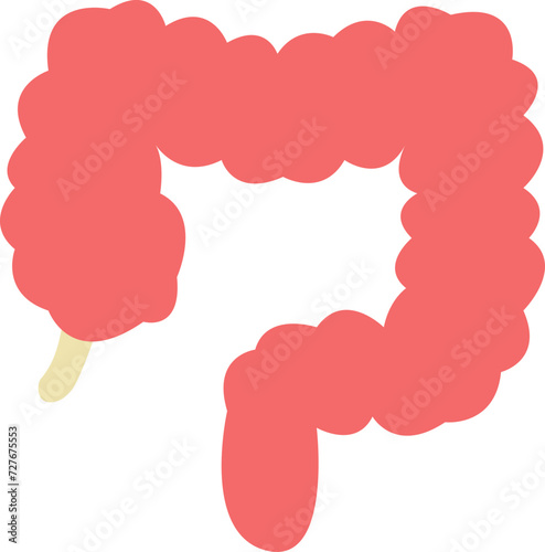 인체장기 모형 아이콘 이미지