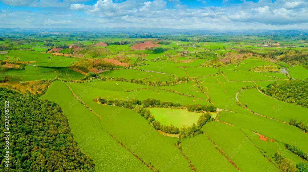 landscape with fields and hills, Ariel view of green land