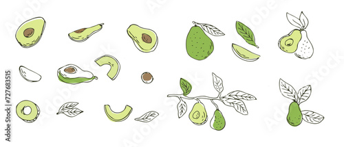 Set of avocado fruits outline Hand drawn sketch. Vector illustration isolated. Can used for wrapping, packaging, poster, cover design, textile and backdrop for cosmetic and food vegan products