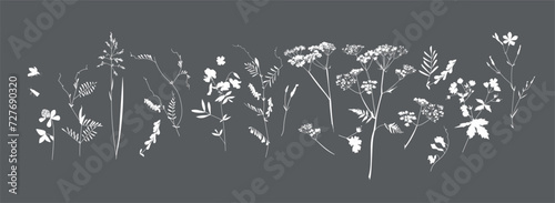 Field flowers and grasses, line drawing. Vector illustration