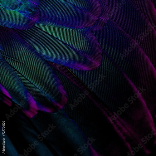 blue charcoal feather texture