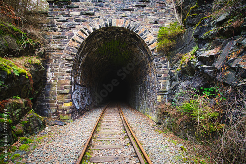 Railway tunnel between narrow rocks