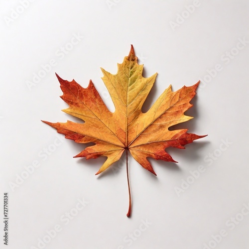 leaf from a tree - chestnut, maple, oak, cannabis, fern. Yellow autumn and green tree leaves on a white background