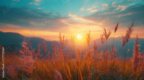 sunset in the mountains with flowers