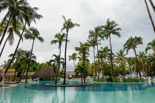 Water  swiiming pool near hotel in Havana  Cuba with palm tree
