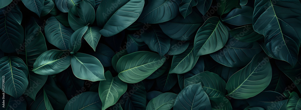 A nature background featuring an abstract green leaf texture. The image showcases dark green tropical leaves in close-up, revealing layered textures and various elements of tropical flora. A nature background featuring an abstract green leaf texture. The image showcases dark green tropical leaves in close-up, revealing layered textures and various elements of tropical flora.