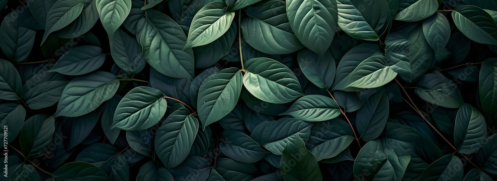 A nature background featuring an abstract green leaf texture. The image showcases dark green tropical leaves in close-up, revealing layered textures and various elements of tropical flora. A nature background featuring an abstract green leaf texture. The image showcases dark green tropical leaves in close-up, revealing layered textures and various elements of tropical flora.