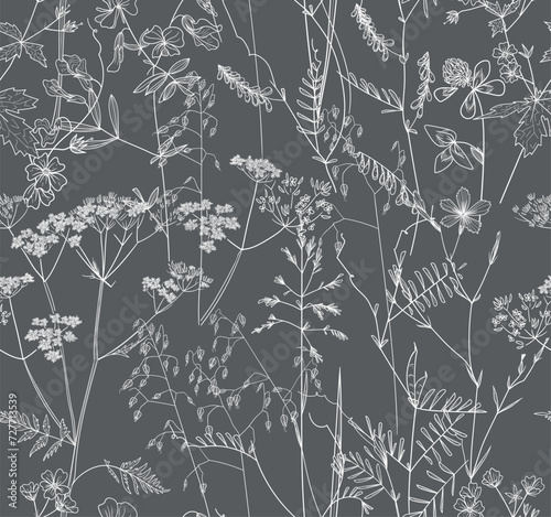 Seamless pattern. Field flowers and grasses, line drawing. Vector illustration 