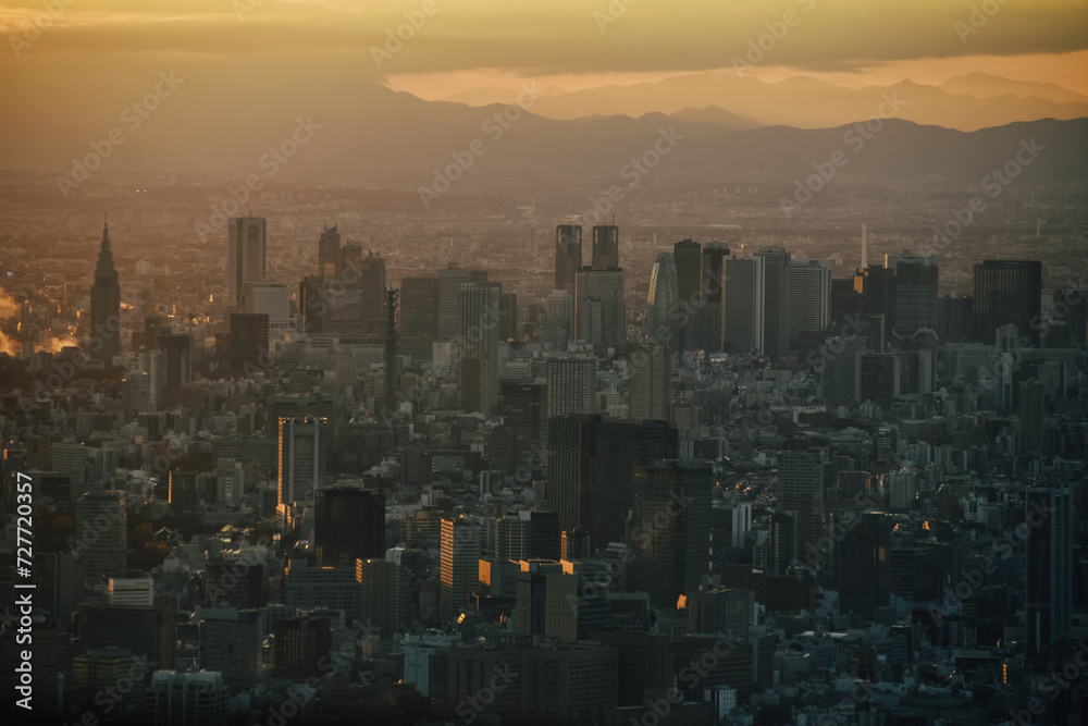 Foto de los rascacielos de Tokyo con el atardecer de fondo en Japón.