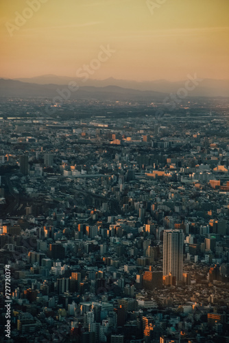 Foto de la ciudad de Tokyo, Japón, desde las alturas con el atardecer de fondo.