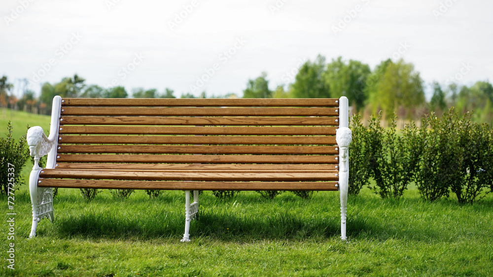 One white wooden bench without people in the summer garden of a private house or park One white wooden bench without people in the summer garden of a private house or park