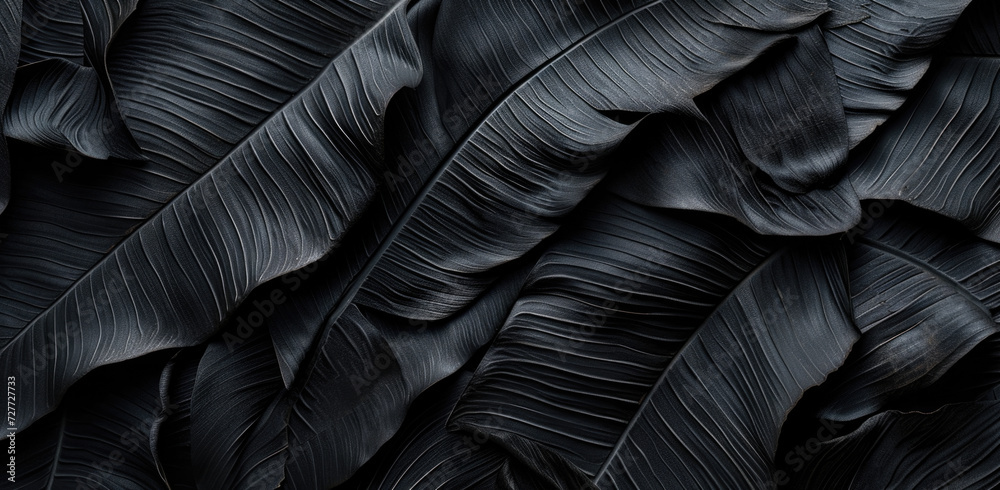Textures of abstract black leaves for tropical leaf background. Flat lay, dark nature concept, tropical leaf, digital ai
