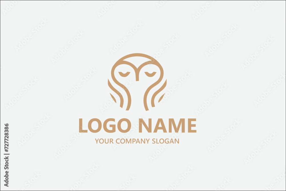 Obraz premium Owl vector log design template 