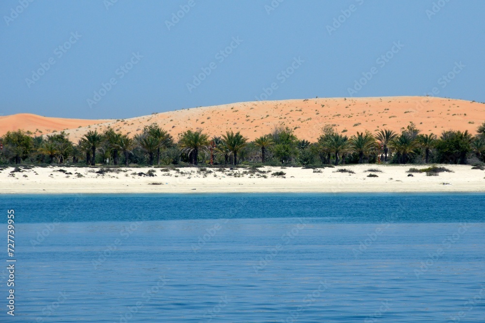 Playa y dunas en Abu Dhabi, Emiratos Árabes Unidos
