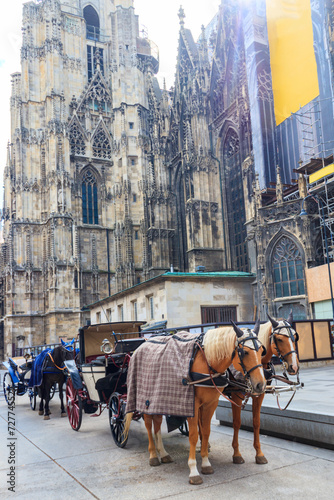 Horse drawn carriage near St. Stephen's Cathedral in Vienna, Austria.  Traditional touristic transport attraction in Vienna photo