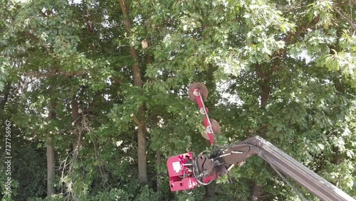  Trimming the trees with saw on the telescopic handler photo