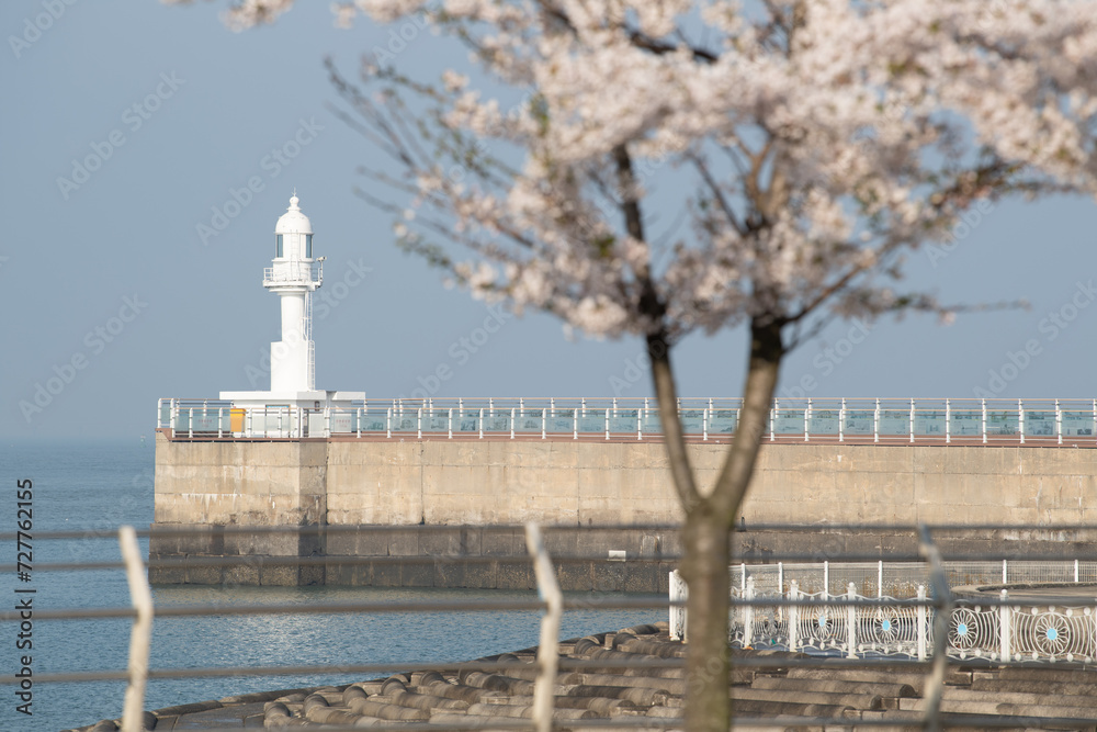 A landscape photo of a beach with white flowers and a white lighthouse
