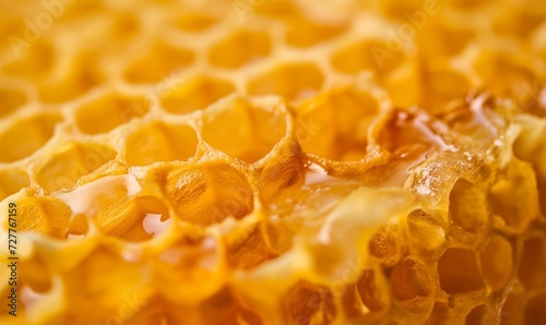 Honeycombs with sweet golden honey on whole background