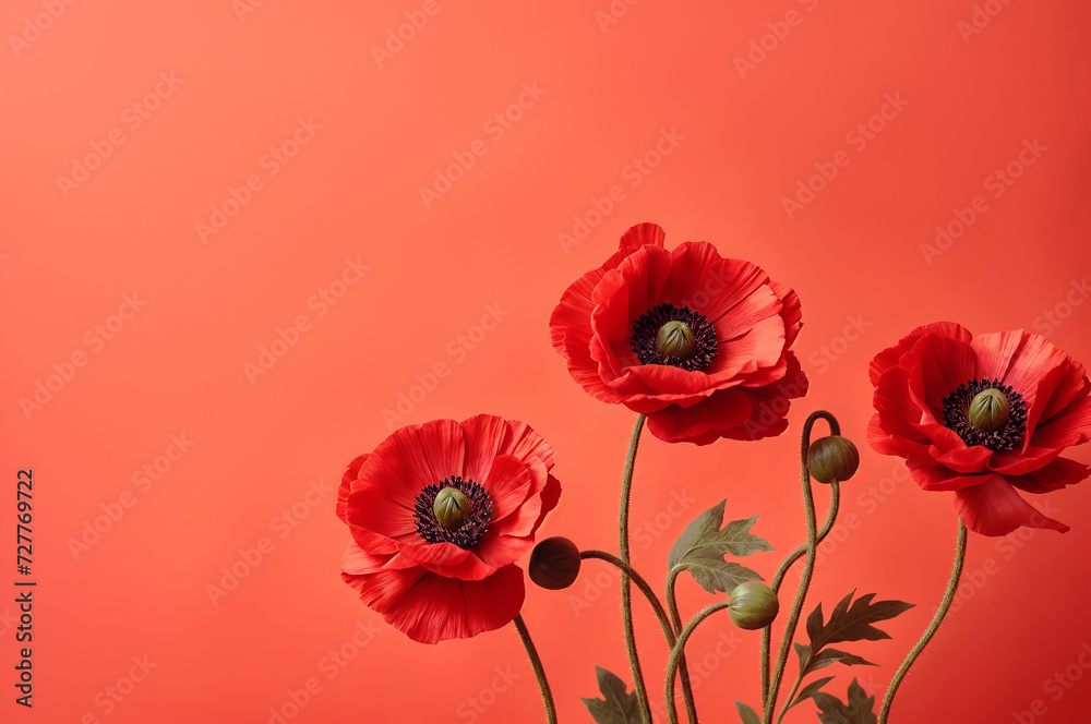 Obraz premium Flowers red poppy, buds, green leaves on a peach background with space for text. Photorealistic background with place for text. Template for design, print, banner, flyer, wallpaper.