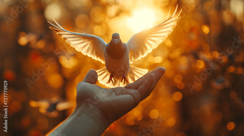 A dove is flying down and perching on the palm of  hand. symbolizing peace and freedom in a serene blue sky, with elegant wings outstretched in a beautiful illustration of nature's tranquility photo