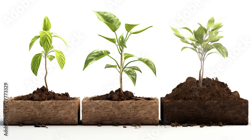 Row of Wooden Blocks With Plants Growing Out of Them