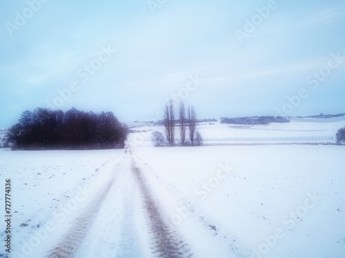 Weg durch Winterlandschaft