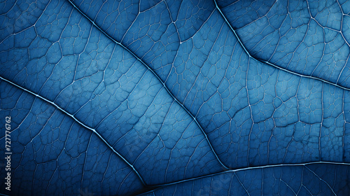 Blue leaf texture. Leaf background with veins and cells.